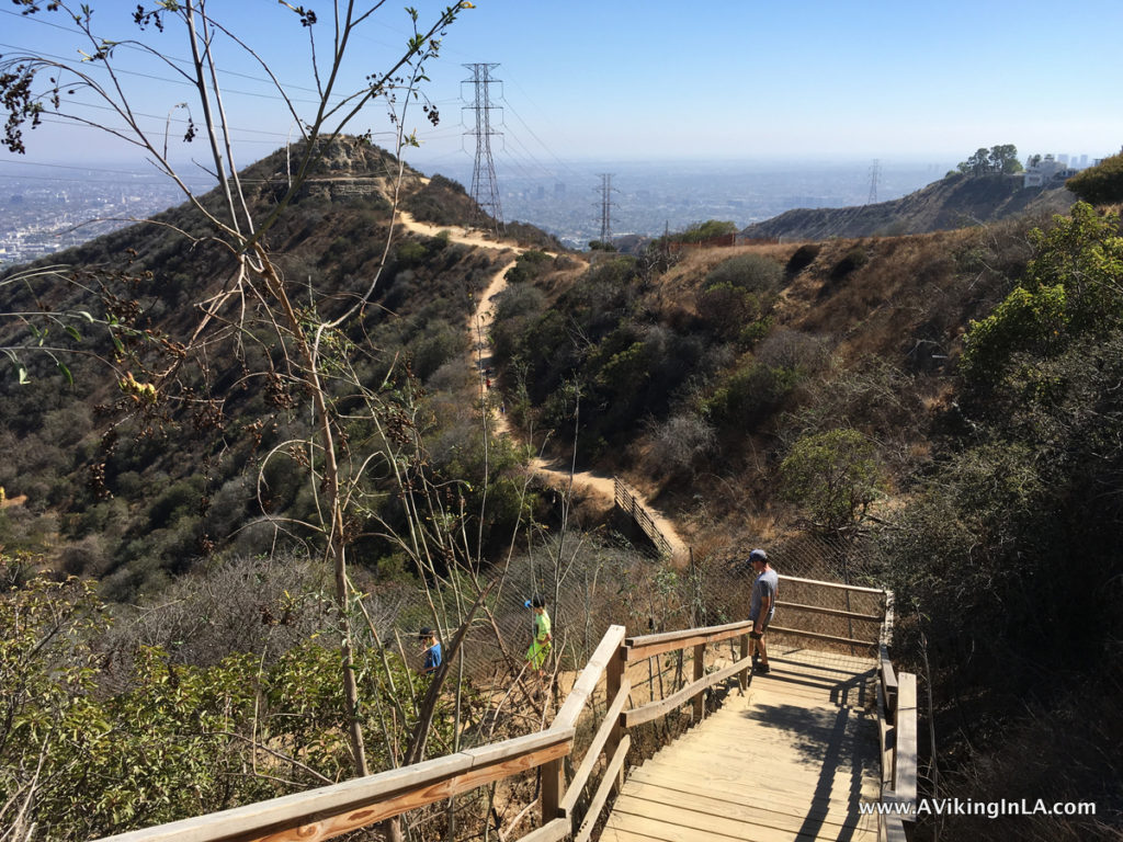 Family Hike: Runyon Canyon | A Viking in LA